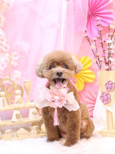 20250308フーちゃん